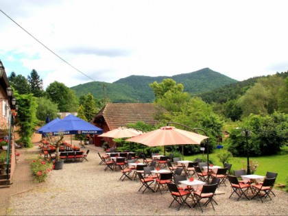 Foto: Vogelstockerhof